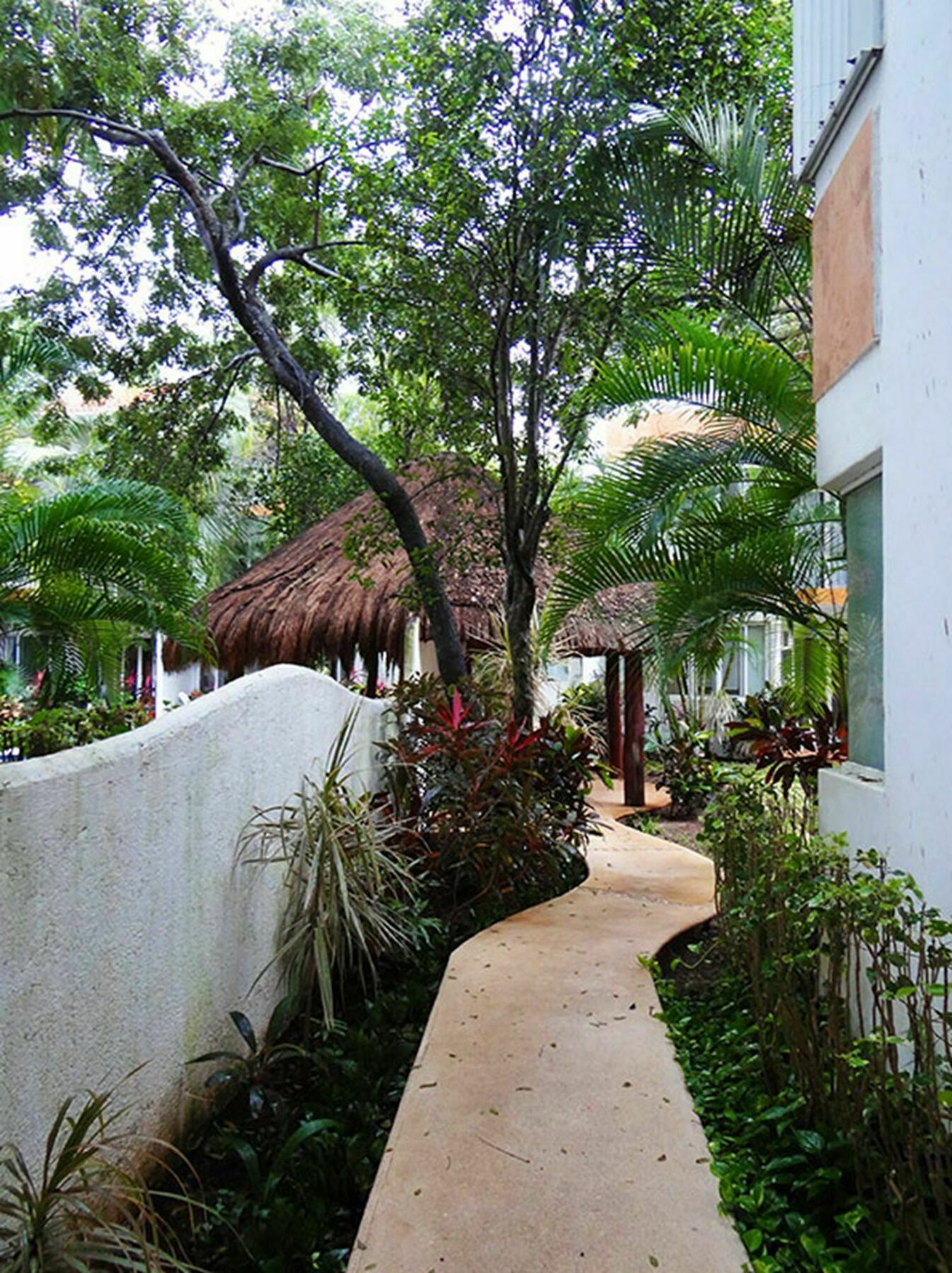 La Concha By Chezplaya